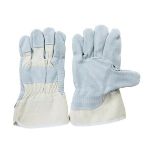 쑺쏊 v zv t[ 311 1_×10o