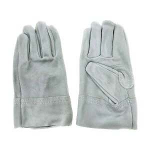 쑺쏊 v D t[ 7B 1_×10o