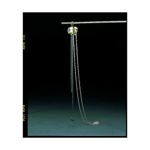 �G�X�R 150Kgx7.0m�`�F�[���u���b�N EA987-7 1