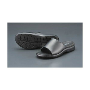 �G�X�R �T���_��(�{�v) LL �� EA910SX-12�y2506DFD_3�z