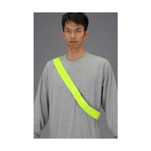 GXR [CR2450x1]LED˃^XL 50×1400mm CG[ EA983RF-11y2506DFD_3z