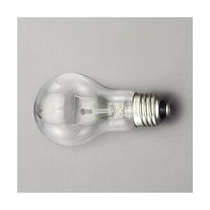 GXR(esco) 100V/ 60W/E26 Md(NA) EA758XK-101y2506DFD_3z