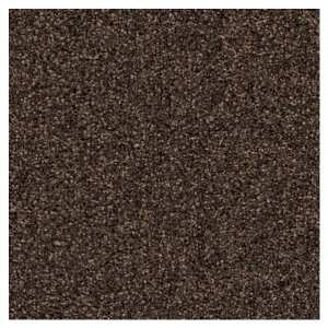 VR[ XNGA^CJ[ybg j[SX 50cm×50cm R[q[ NRG-5216 1