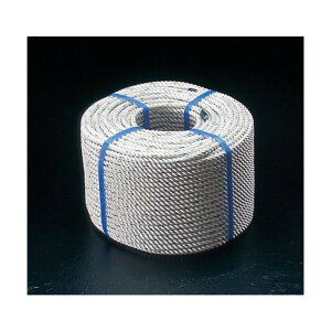 �G�X�R(esco) �i�C�������[�v(�O�ł�) 10mm×100m EA628TB-102�y2506DFD_3�z