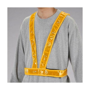 GXR(esco) LEDSxXg(S[h/LED) EA983R-163 1y2506DFD_3z