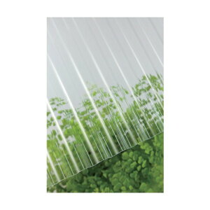 ^LV[ACvX |JgMJbg 32g 10 4010NAX[N 235020 1_×10