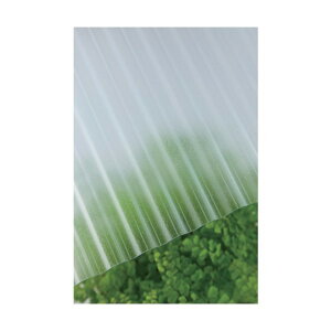 ^LV[ACvX |JgMJbg 32g 10 4050NAX[N}bg 235037 1_×10