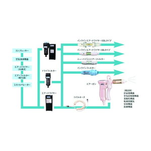 ɎqB GA[KpRCz[X Jvt 231-43-10-12 1_