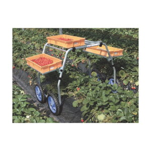 @lpinbNX yYnp RA-612 1_