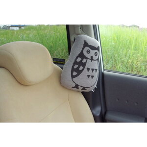 CPqRER[|[V [X V[gxg CAR 28×20cm O[ 9410669 1