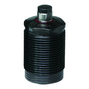 ix [NT|[g WSSA0262L 1_