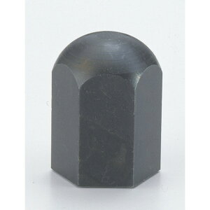 �i�x�� �t�N���i�b�g FN10 1�_