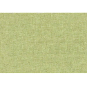 gLH ǎ PINEBULL D DIC Color story sX^`I 92.4cm×1m O[ TWP9302 1