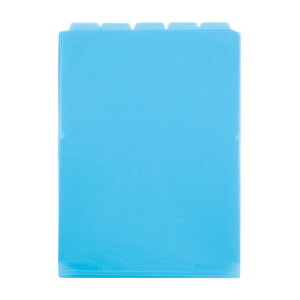 ZLZC ANeBt 5CfbNXtH_[ ^e u[ ACT-915-10 1