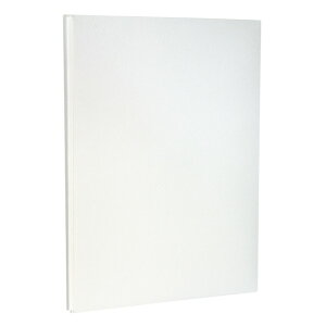 �Z�L�Z�C �̂с[��t�@�C�� 307×220mm �� AE-50-70 1�_