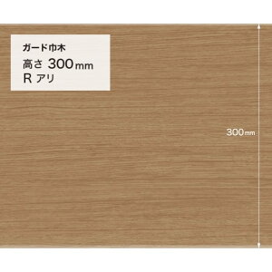 TQc {H K[hЖ (ؖڒ) RA 300mm×2.0mm×9m W-163G 1