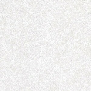 TQc plAebNShiramayu W910mm×H2,430mm×T3.2mm TB-5139 1