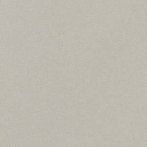 TQc SܕtσtBAebN^bNWhitePearl W1,220mm×1m TR-5541 1