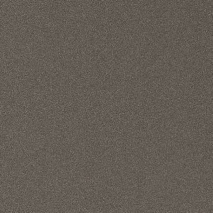 TQc SܕtσtBAebN^bNWarmGray W1,220mm×1m TR-5542 1