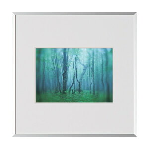 �P���R�[�E�g�L�i�[ �A���~�z�� �M�������[ 2L�X�N�G�A �V���o�[ AGY-2LSQ-SV 1��