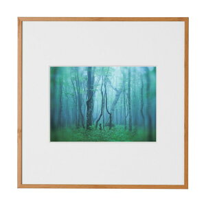 �P���R�[�E�g�L�i�[ �A���~�z�� �M�������[ 2L�X�N�G�A �i�`������(�ؖڒ�) AGY-2LSQ-NA 1��