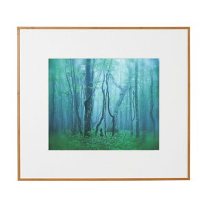 PR[EgLi[ A~z M[ l i`(ؖڒ) ACY-4-NA 1