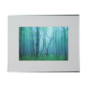 PR[EgLi[ A~z M[ Chl Vo[ ACY-W4-SV 1