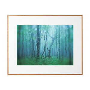 �P���R�[�E�g�L�i�[ �A���~�z�� �M�������[ ���C�h�l�� �i�`������(�ؖڒ�) ACY-W4-NA 1��