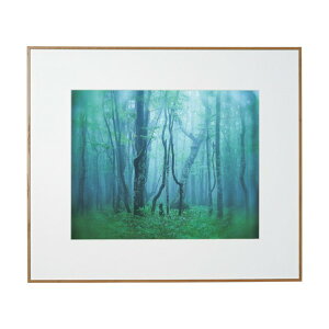 PR[EgLi[ A~z M[  i`(ؖڒ) ACY-H-NA 1