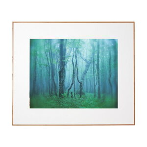 �P���R�[�E�g�L�i�[ �A���~�z�� �M�������[ �S�� �i�`������(�ؖڒ�) ACY-Z-NA 1��