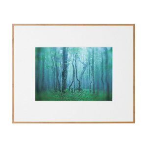 PR[EgLi[ A~z M[ A4 i`(ؖڒ) ACY-A4-NA 1