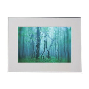 PR[EgLi[ A~z M[ A3mr Vo[ ACY-A3N-SV 1