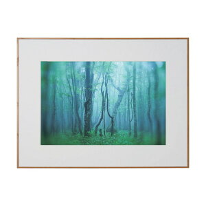 PR[EgLi[ A~z M[ A3mr i`(ؖڒ) ACY-A3N-NA 1