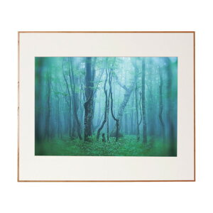 PR[EgLi[ A~z M[ A2 i`(ؖڒ) ACY-A2-NA 1