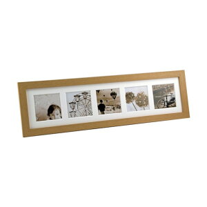 �P���R�[�E�g�L�i�[ �܂��������t���[�� 5�� �i�`������ PS-MS-5-NA 1��