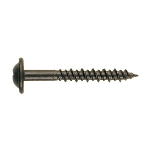 ���{�p���[�t�@�X�j���O �L�N�]�E 3.6×30 ���X�p�[�g�u�����Y KIKUZO3.6X30RBRONZE 500�{