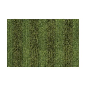 ���Y�� �z���X�g���C�v�}�b�g 900×1800mm �� 4981390123028 1�_
