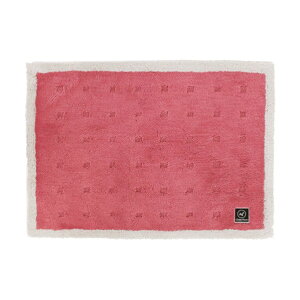 IJ xǍDAg{N[tbgoX}bg 50×70 sN sN 64904 1