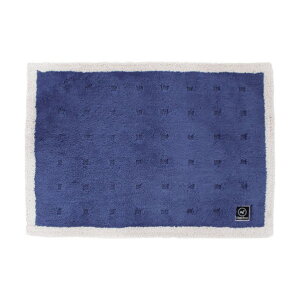 IJ xǍDAg{N[tbgoX}bg 50×70 u[ u[ 64905 1