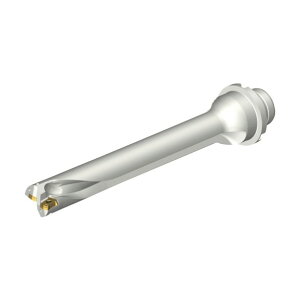 �T���h�r�b�N �R���h����DS20�n��������h����(465) DS20-D2100DM25-07 1�_