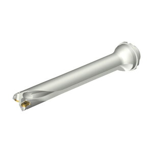 �R���h����DS20�n��������h�����i465�j DS20-D3810DM40-07 (465)