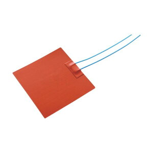 dM T~R230q[^[ 10×10 100V 100W SAM1010 1_