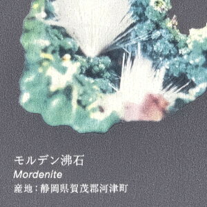 TQc ǎ U[u p^[ Ȋw z 92cm×1m RE55944 1