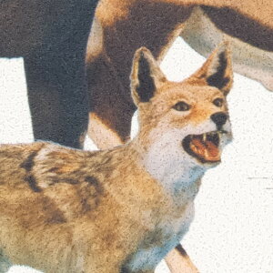 TQc ǎ U[u p^[ Ȋw M 92cm×1m RE55947 1