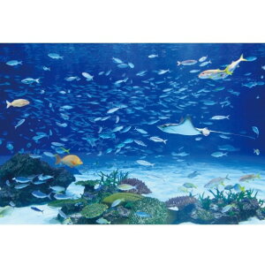 TQc fW^vgǎ U[uiHIGH GRAFICAjiʐ^ TVC ANAE#2 STCYi2Ёj W1800mm×H1250mm HZ-7038S 1Zbg