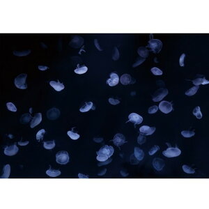 TQc fW^vgǎ U[uiHIGH GRAFICAjiʐ^ NQANAE Cgu[ LTCYi4Ёj W3600mm×H2500mm HZ-7039L 1Zbg