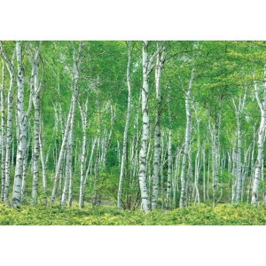 TQc fW^vgǎ U[uiHIGH GRAFICAjiʐ^ 䍂сiXїjMTCYi3Ёj W2700mm×H1875mm HZ-7001M 1Zbg