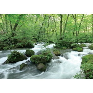 TQc fW^vgǎ U[uiHIGH GRAFICAjiʐ^ k MTCYi3Ёj W2700mm×H1875mm HZ-7043M 1Zbg