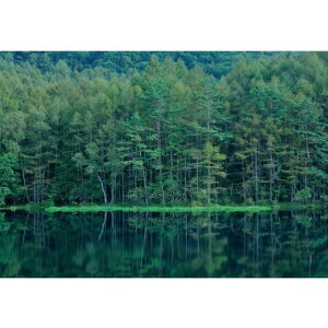 TQc fW^vgǎ U[uiHIGH GRAFICAjiʐ^  ˎr MTCYi3Ёj W2700mm×H1875mm HZ-7044M 1Zbg