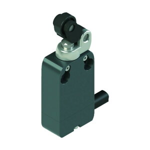 Pizzato �v�����C�����~�b�g�X�C�b�` NA�^�C�vB11 ���[�����o�[0CB�` NA B110CB-DN2 1�_